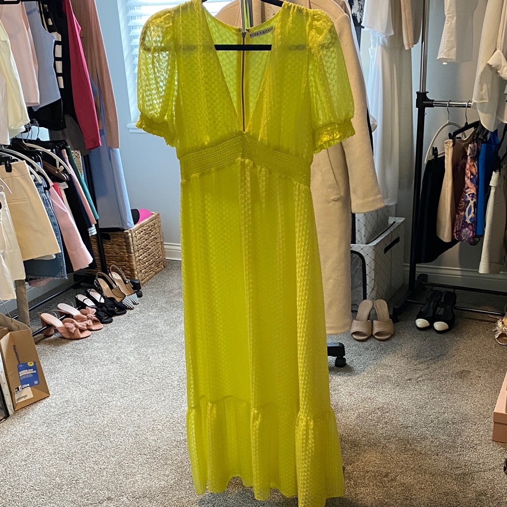 Alice + Olivia dress